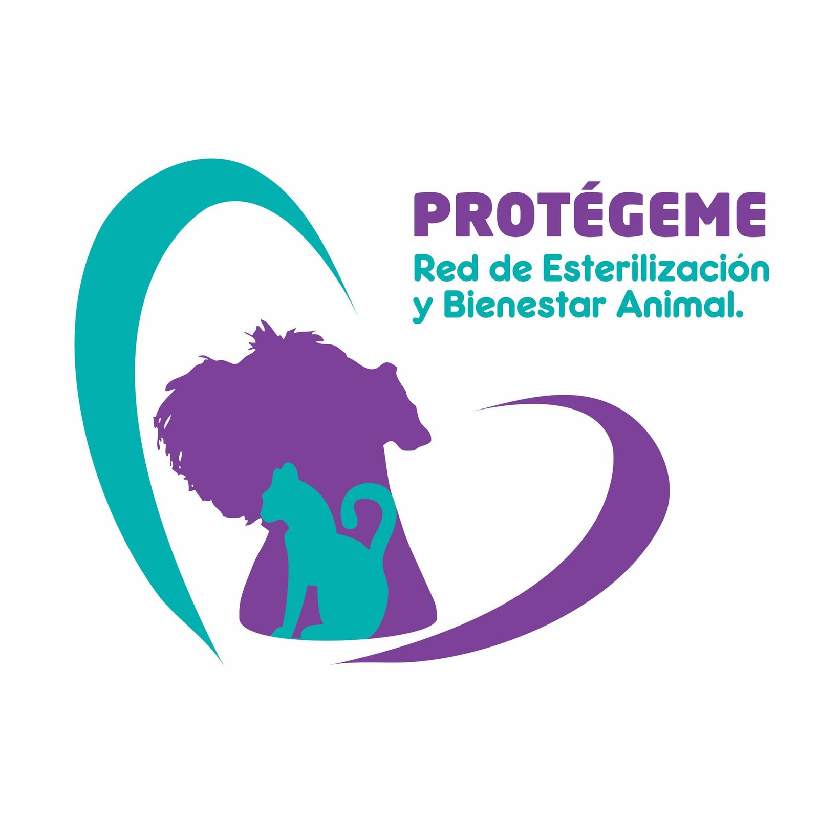 Fundación Protégeme Veracruz