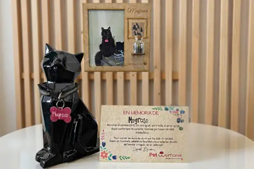 Cremación de mascotas Veracruz
