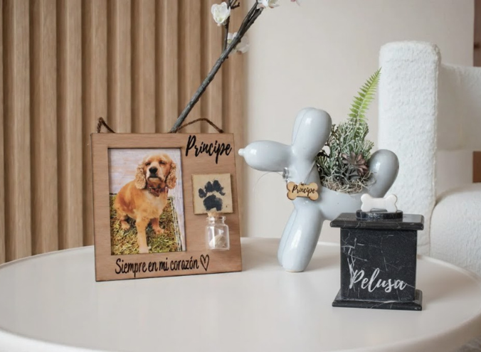 Cremación de mascotas en Veracruz