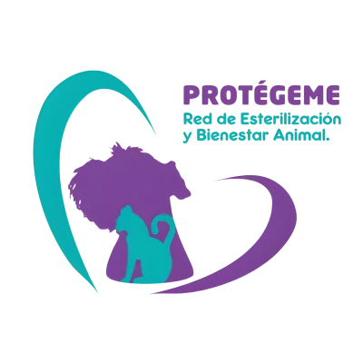 Adopción Perros y Gatos Veracruz Adopción Perros y Gatos Veracruz